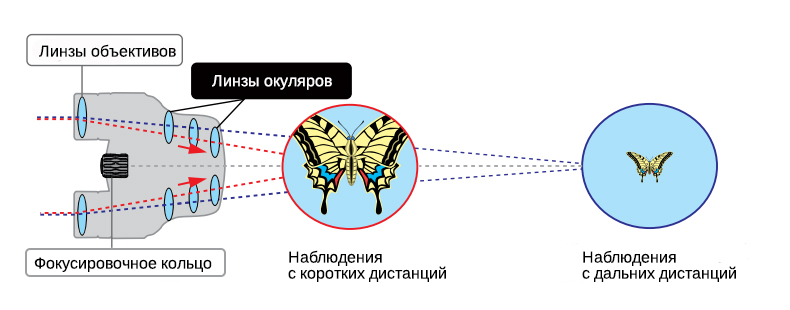 Бинокль Pentax Papilio II 8.5x21