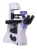 Микроскоп биологический инвертированный цифровой MAGUS Bio VD350