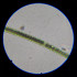 Микроскоп школьный Микромед Эврика Smart 40х-1280х в текстильном кейсе
