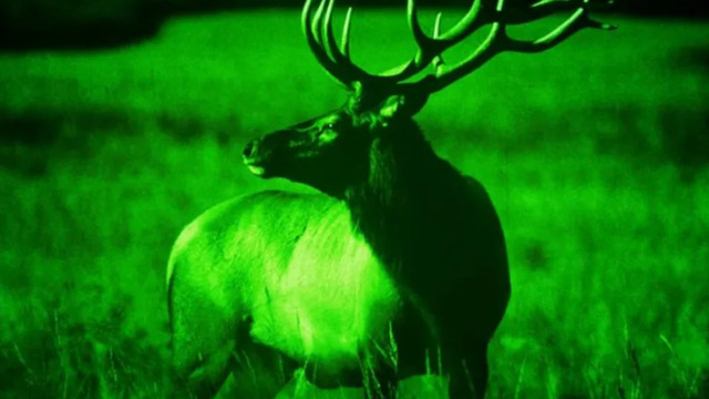 Очки ночного видения Arkon NVD G2 V2