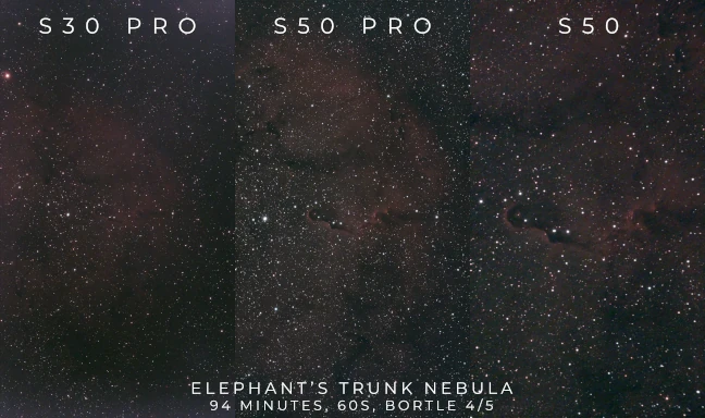 Elephant Nebula