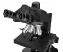 Микроскоп Levenhuk 890T, тринокулярный Микроскоп Levenhuk 890T, тринокулярный
