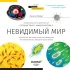 Книга знаний "Невидимый мир" Книга знаний "Невидимый мир"