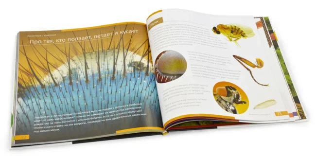Книга знаний "Невидимый мир" Книга знаний "Невидимый мир"