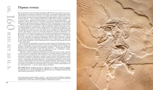 Великая Земля. От начала до конца существования нашей планеты. 250 основных вех в истории Земли