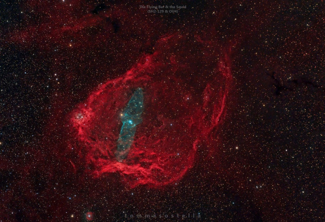 Фильтр Optolong L-Ultimate (2”) Фильтр Optolong L-Ultimate (2”)