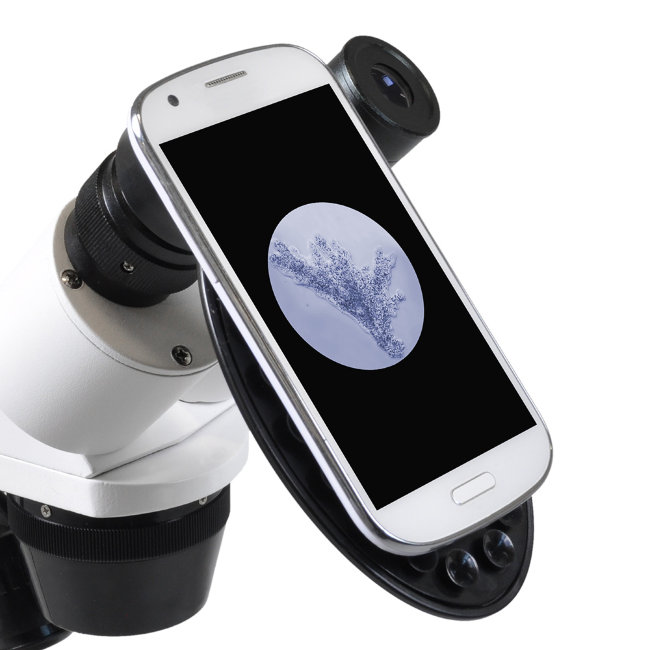 Микроскоп стереоскопический Bresser Erudit ICD 20x/40x Микроскоп стереоскопический Bresser Erudit ICD 20x/40x