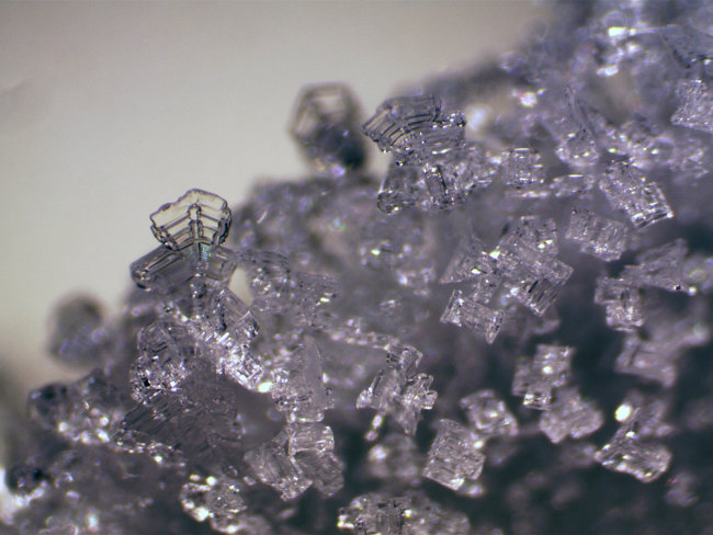 Микроскоп стереоскопический Bresser Erudit ICD 20x/40x Микроскоп стереоскопический Bresser Erudit ICD 20x/40x