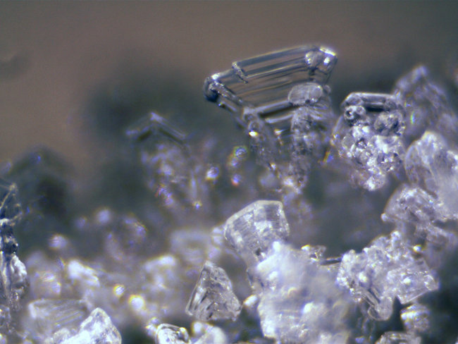 Микроскоп стереоскопический Bresser Erudit ICD 20x/40x Микроскоп стереоскопический Bresser Erudit ICD 20x/40x