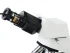 Видеоокуляр ToupCam SCMOS05100KPA 5.1MP Видеоокуляр ToupCam SCMOS05100KPA 5.1MP