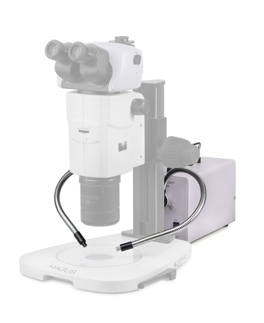 Осветитель холодным светом MAGUS CLI18T с двойным световодом