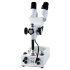 Микроскоп стерео Микромед МС-1 вар.2C (2х/4х)