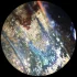 Микроскоп стереоскопический Bresser Analyth STR 10–40x Микроскоп стереоскопический Bresser Analyth STR 10–40x