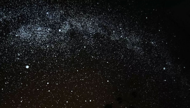 Домашний планетарий Segatoys Homestar Flux Домашний планетарий Segatoys Homestar Flux