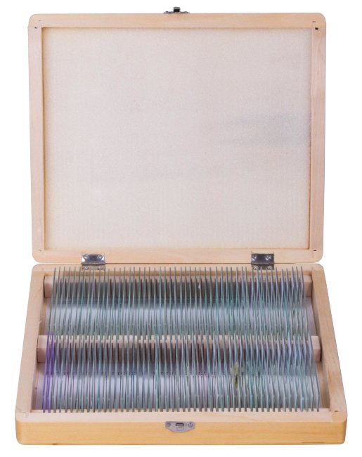 Набор микропрепаратов Bresser 100 шт., в кейсе Набор микропрепаратов Bresser 100 шт., в кейсе