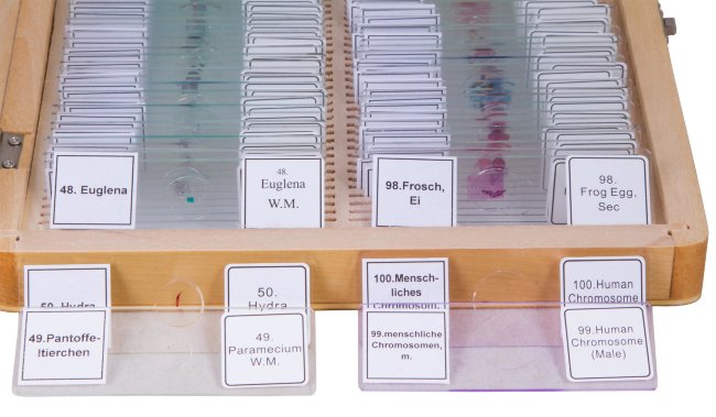 Набор микропрепаратов Bresser 100 шт., в кейсе Набор микропрепаратов Bresser 100 шт., в кейсе