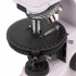 Микроскоп поляризационный MAGUS Pol 850