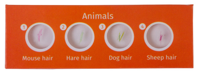 Набор микропрепаратов Levenhuk LabZZ C12, существа Набор микропрепаратов Levenhuk LabZZ C12, существа