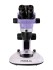 Микроскоп стереоскопический цифровой MAGUS Stereo D7T BASE