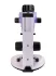 Микроскоп стереоскопический цифровой MAGUS Stereo D7T BASE Микроскоп стереоскопический цифровой MAGUS Stereo D7T BASE