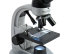 Универсальный микроскоп Celestron Micro 360