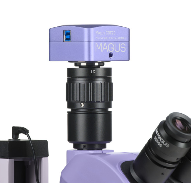 Микроскоп стереоскопический цифровой MAGUS Stereo D7T PLUS