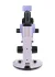 Микроскоп стереоскопический цифровой MAGUS Stereo D7T PLUS