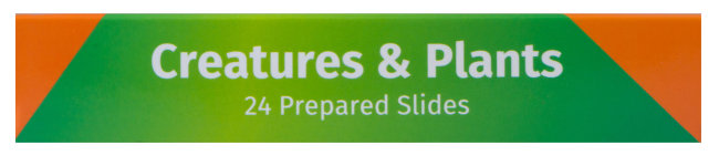 Набор микропрепаратов Levenhuk LabZZ CP24, существа и растения Набор микропрепаратов Levenhuk LabZZ CP24, существа и растения