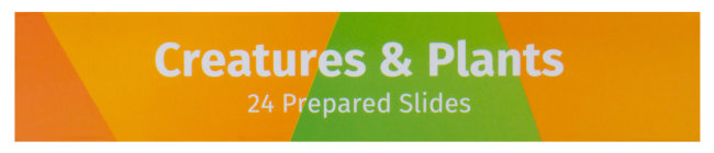 Набор микропрепаратов Levenhuk LabZZ CP24, существа и растения Набор микропрепаратов Levenhuk LabZZ CP24, существа и растения