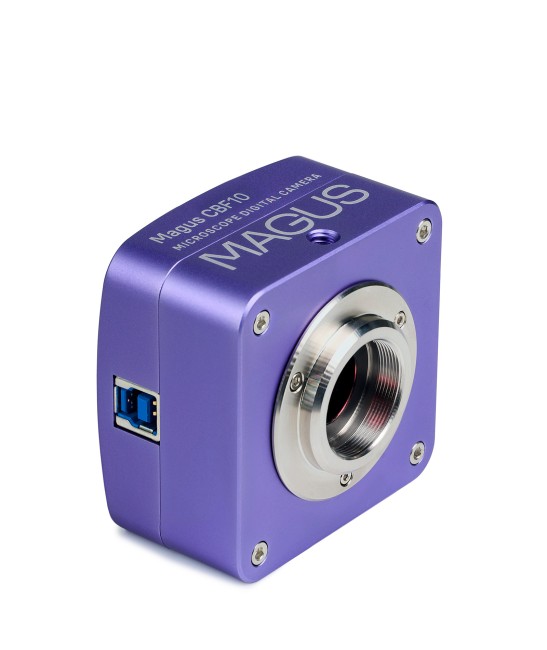 Микроскоп стереоскопический цифровой MAGUS Stereo D8T BASE Микроскоп стереоскопический цифровой MAGUS Stereo D8T BASE
