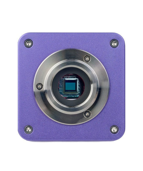 Микроскоп стереоскопический цифровой MAGUS Stereo D8T BASE Микроскоп стереоскопический цифровой MAGUS Stereo D8T BASE
