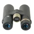 Бинокль Veber ED-R 8x42 WP Бинокль Veber ED-R 8x42 WP