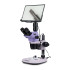 Микроскоп стереоскопический цифровой MAGUS Stereo D8T LCD PLUS