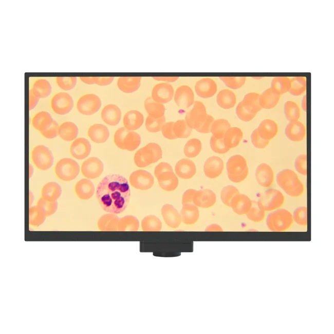 Камера цифровая MAGUS Vision 80 LCD Камера цифровая MAGUS Vision 80 LCD