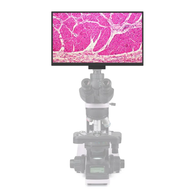 Камера цифровая MAGUS Vision 80 LCD Камера цифровая MAGUS Vision 80 LCD
