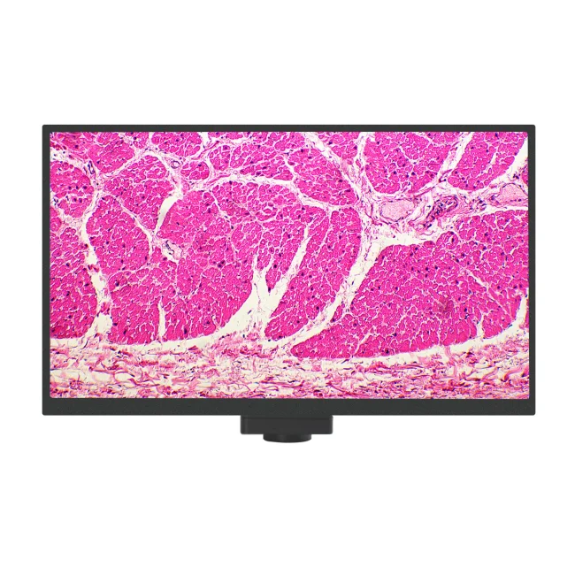Камера цифровая MAGUS Vision 80 LCD Камера цифровая MAGUS Vision 80 LCD