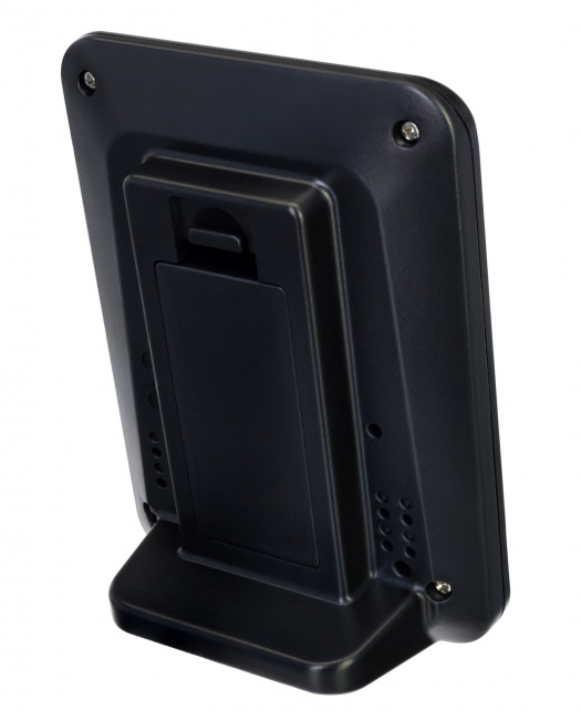 Термометр Levenhuk Wezzer BASE L50