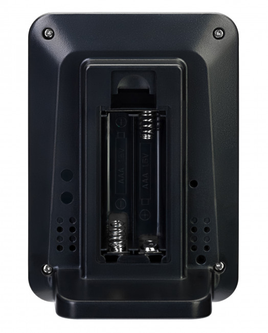 Термометр Levenhuk Wezzer BASE L50