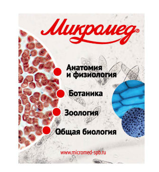 Набор готовых микропрепаратов Микромед №80 Набор готовых микропрепаратов Микромед №80