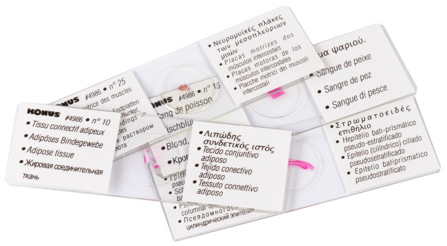 Набор микропрепаратов Konus 25: «Клетки и ткани животных»