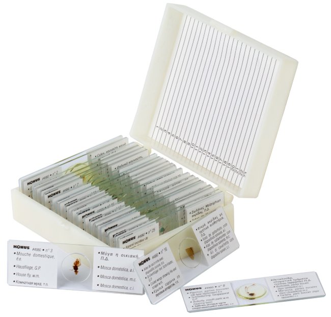 Набор микропрепаратов Konus 25: «Насекомые» Набор микропрепаратов Konus 25: «Насекомые»