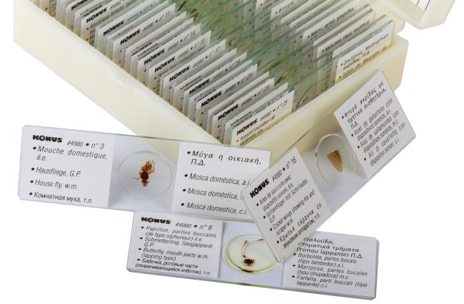 Набор микропрепаратов Konus 25: «Насекомые» Набор микропрепаратов Konus 25: «Насекомые»