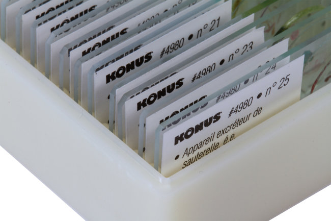 Набор микропрепаратов Konus 25: «Насекомые» Набор микропрепаратов Konus 25: «Насекомые»