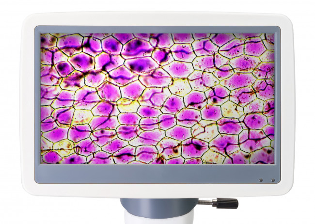 Микроскоп цифровой Levenhuk D85L LCD, монокулярный Микроскоп цифровой Levenhuk D85L LCD, монокулярный