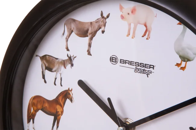 Часы настенные Bresser Junior, 25 см, с животными Часы настенные Bresser Junior, 25 см, с животными