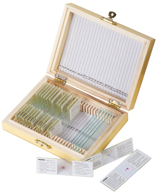 Набор микропрепаратов Konus 15: «Размножение беспозвоночных»