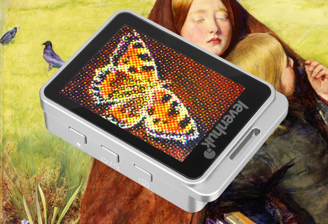 Лупа цифровая Levenhuk ERGO 20