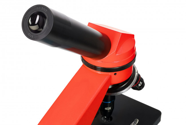 Микроскоп Levenhuk Rainbow 2L Orange\Апельсин Микроскоп Levenhuk Rainbow 2L Orange\Апельсин