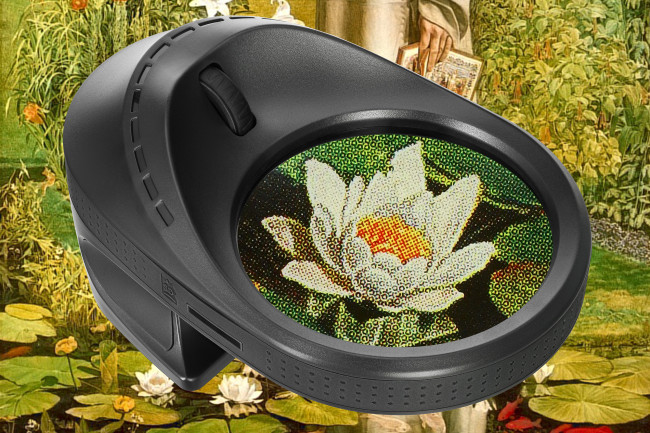 Лупа цифровая Levenhuk ERGO 30