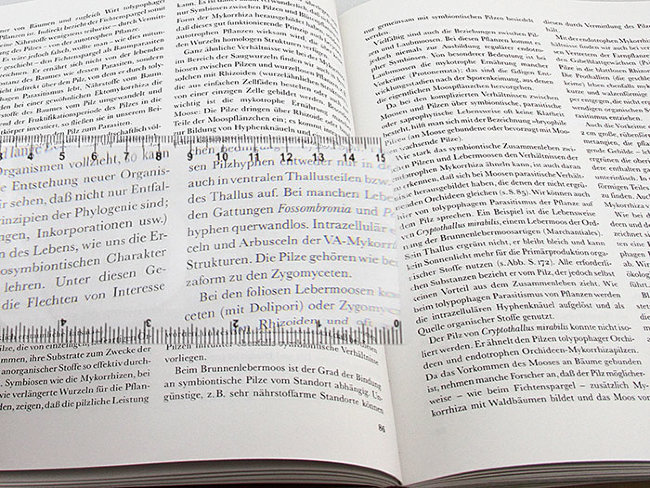 Линза Френеля Veber 3x, 190x65 мм